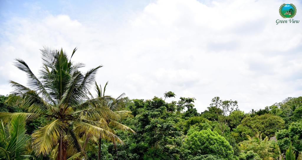Green View Thekkady Esterno foto