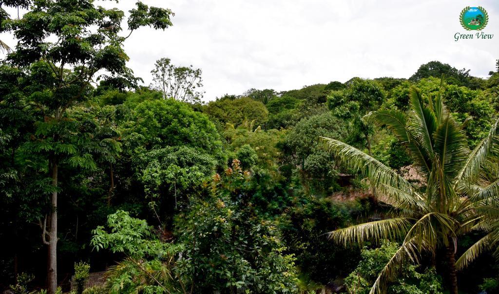 Green View Thekkady Esterno foto